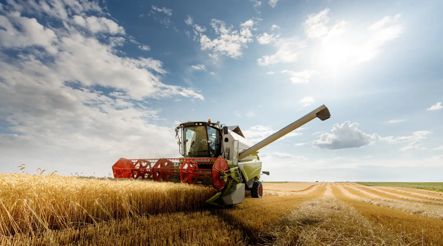 En skördetröska på ett vetefält